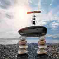 做﻿外‌链‍有‌用​吗​